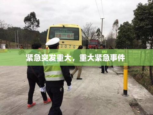緊急突發(fā)重大，重大緊急事件 