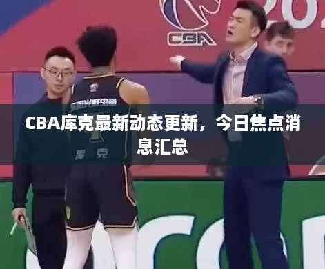 CBA庫克最新動態(tài)更新，今日焦點消息匯總