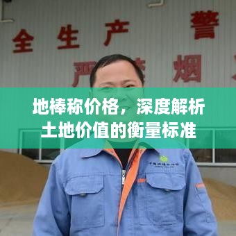 地棒稱價格，深度解析土地價值的衡量標準