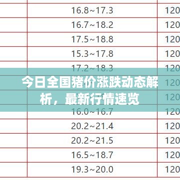 今日全國豬價漲跌動態(tài)解析，最新行情速覽