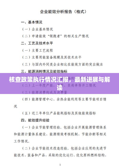 核查政策執(zhí)行情況匯報，最新進展與解讀