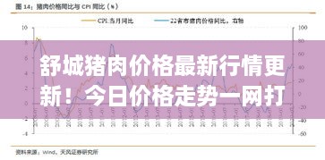 舒城豬肉價格最新行情更新！今日價格走勢一網(wǎng)打盡