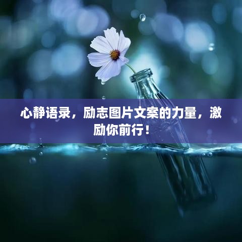 心靜語錄，勵志圖片文案的力量，激勵你前行！