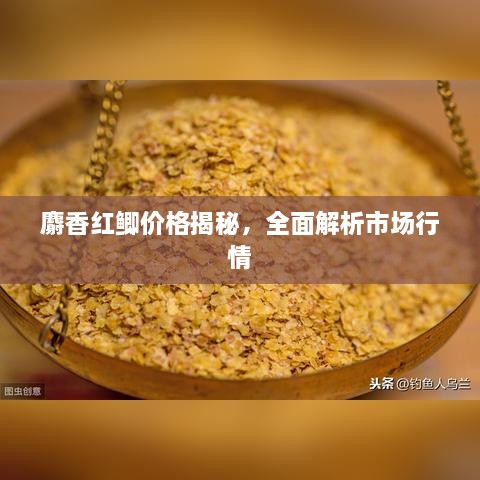 麝香紅鯽價(jià)格揭秘，全面解析市場(chǎng)行情