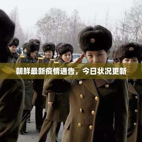 朝鮮最新疫情通告，今日狀況更新