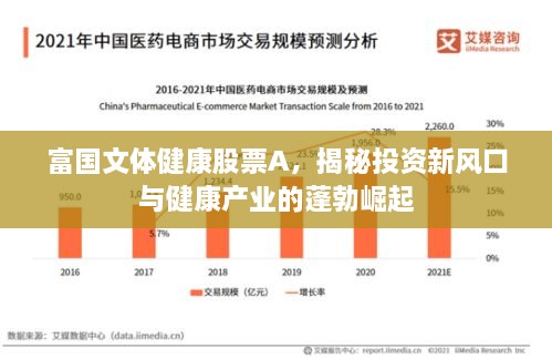 富國(guó)文體健康股票A，揭秘投資新風(fēng)口與健康產(chǎn)業(yè)的蓬勃崛起