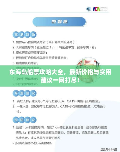 東海島船票攻略大全，最新價(jià)格與實(shí)用建議一網(wǎng)打盡！