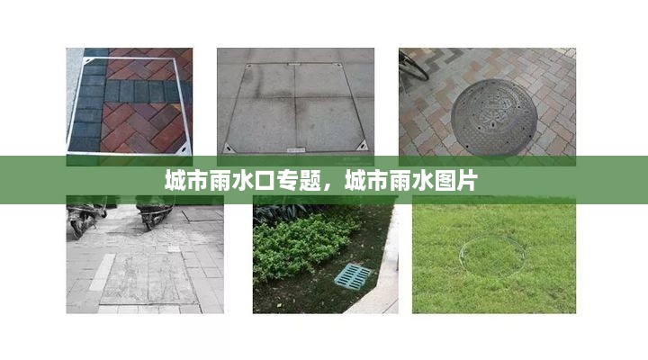 城市雨水口專題，城市雨水圖片 