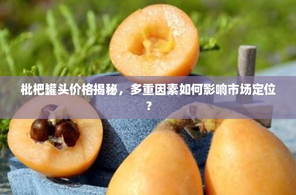 枇杷罐頭價格揭秘，多重因素如何影響市場定位？