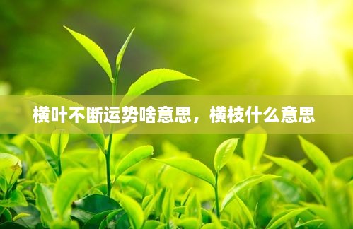 橫葉不斷運(yùn)勢(shì)啥意思，橫枝什么意思 
