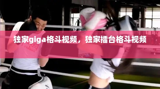獨家giga格斗視頻，獨家擂臺格斗視頻 