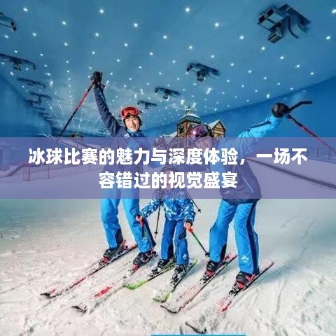 冰球比賽的魅力與深度體驗(yàn)，一場(chǎng)不容錯(cuò)過(guò)的視覺(jué)盛宴