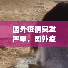 國外疫情突發(fā)嚴重，國外疫情形勢嚴峻 