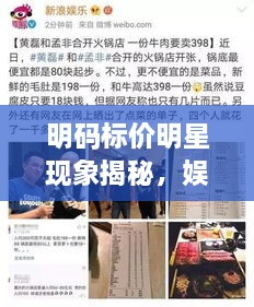 明碼標(biāo)價(jià)明星現(xiàn)象揭秘，娛樂圈的新挑戰(zhàn)與觀察
