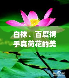 產(chǎn)品展示 第6頁