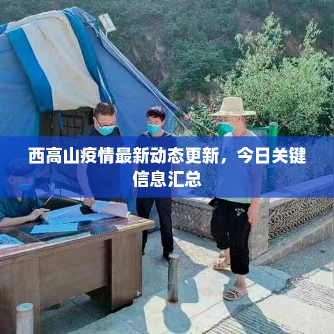 西高山疫情最新動態(tài)更新，今日關鍵信息匯總