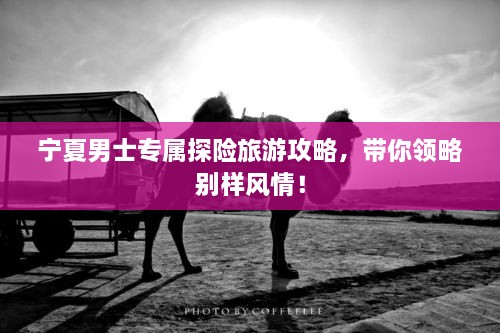寧夏男士專屬探險旅游攻略，帶你領略別樣風情！