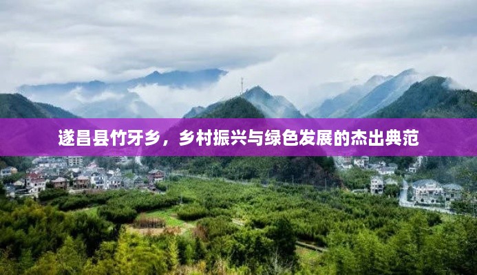 遂昌縣竹牙鄉(xiāng)，鄉(xiāng)村振興與綠色發(fā)展的杰出典范