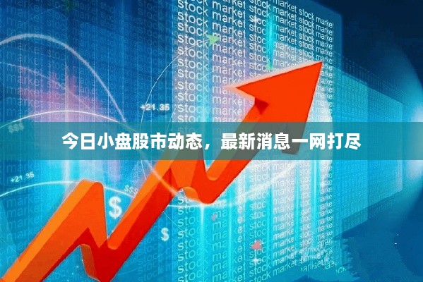 今日小盤股市動態(tài)，最新消息一網(wǎng)打盡