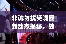 非誠(chéng)勿擾樊嘯最新動(dòng)態(tài)揭秘，獨(dú)家爆料吸引眼球！