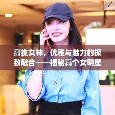 高挑女神，優(yōu)雅與魅力的極致融合——揭秘高個女明星的魅力風(fēng)采